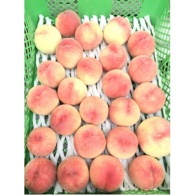 【2026年7月下旬より順次発送】岩手県岩泉町産　桃2品種 食べくらべセット(1.5キロ)【配送不可地域：離島】【1740705】