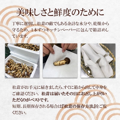 【2024年9月中旬〜10月中旬発送予定】松茸マイスター厳選!旬の岩泉産松茸　250g(前後)【配送不可地域：離島】【1516081】