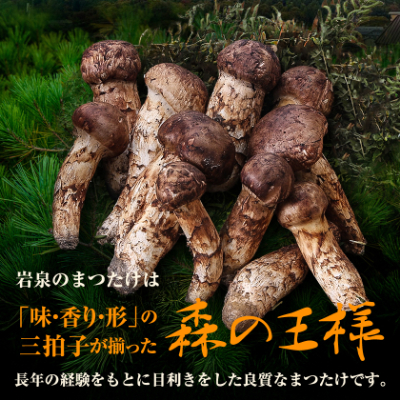 【2026秋発送】≪産地直送≫　岩泉まつたけ 250g【配送不可地域：離島】【1423712】