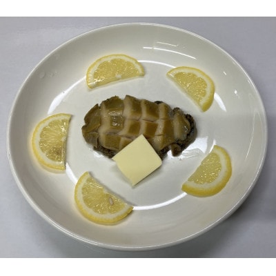 三陸小本浜産冷凍天然あわび　600g(6個入り)【配送不可地域：離島】【1717034】