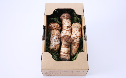 【2026秋発送】【特選】岩泉まつたけ 直送 300g【配送不可地域：離島】【1423393】