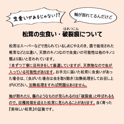 【2024年9月中旬〜10月中旬発送予定】松茸マイスター厳選!旬の岩泉産松茸　250g(前後)【配送不可地域：離島】【1516081】