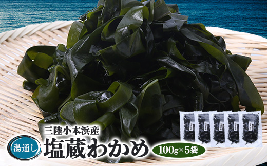 三陸小本浜産湯通し塩蔵わかめ 100g×5袋【配送不可地域：離島】【1568471】