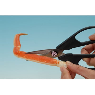 驫繝√ち繝ウ縺ッ縺輔∩縲2譛ャ邨縲1726351縲