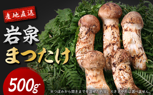 【2026秋発送】岩泉まつたけ 直送 500g【配送不可地域：離島】【1423376】