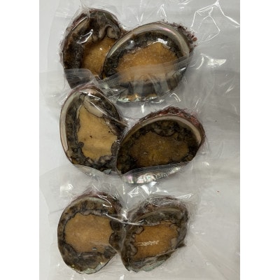 三陸小本浜産冷凍天然あわび　600g(6個入り)【配送不可地域：離島】【1717034】