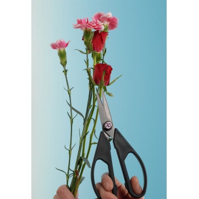 驫繝√ち繝ウ縺ッ縺輔∩縲2譛ャ邨縲1726351縲