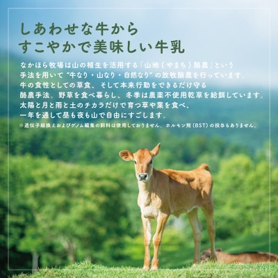 なかほら牧場 クリームリッチアイスと、ミルククリーム2種類のセット【配送不可地域：離島】【1624026】