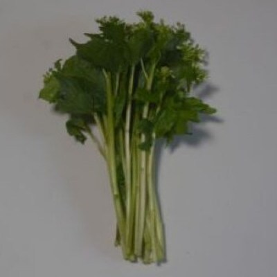 龍泉洞花わさびふすぺ 計250g【配送不可地域：離島】【1732489】