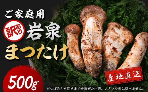 【2026秋発送】【訳あり】ご家庭用 岩泉まつたけ 直送 500g【配送不可地域：離島】【1423397】