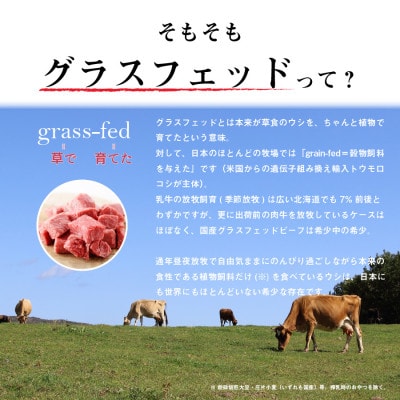 なかほら牧場 グラスフェッドビーフ2種セット　各500g×1パック【配送不可地域：離島】【1623258】