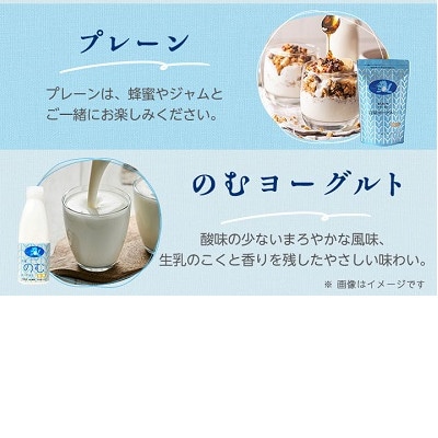 岩泉ヨーグルト(プレーン1kg×2袋)・のむヨーグルト(720ml×1本)セット【配送不可地域：離島】【1637655】