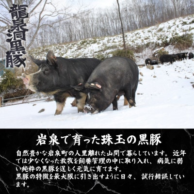 いわいずみ匠の黒豚ハンバーグ【龍泉洞黒豚100%使用】150g×10個　【岩泉町原産の銘柄豚】【配送不可地域：離島】【1619318】