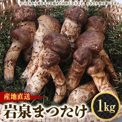 【2026秋発送】≪産地直送≫　岩泉まつたけ  1kg【配送不可地域：離島】【1423716】