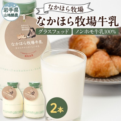 【毎月定期便】なかほら牧場牛乳〔500 ml〕2本セット全3回【配送不可地域：離島】【4075358】
