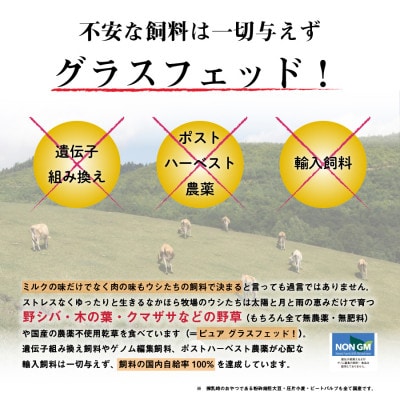 なかほら牧場 グラスフェッドビーフ2種セット　各500g×1パック【配送不可地域：離島】【1623258】
