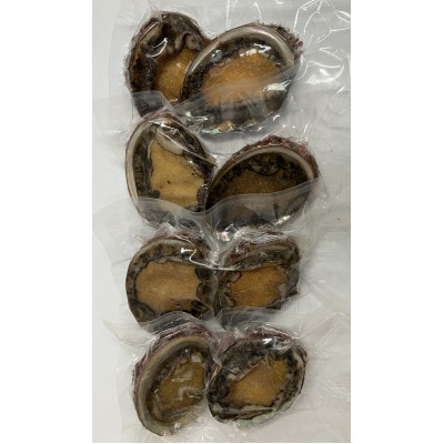 三陸小本浜産冷凍天然あわび　800g(8個入り)【配送不可地域：離島】【1717035】