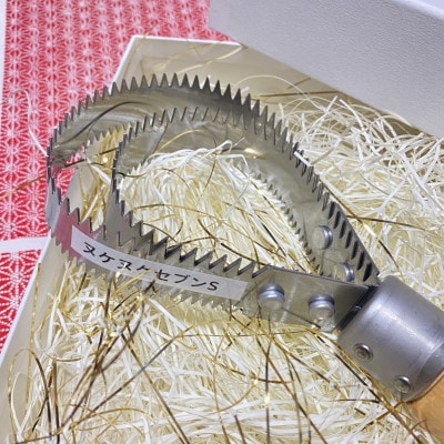 岩æç岩æ³çºç£ ããããã©ã· ãã±ãã±ã»ãã³S(åçæã®ç)1æ¬ã1588023ã