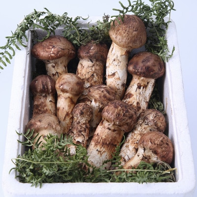 ã2026ç§çºéãâªç£å°çŽéâ«ã岩æ³ãŸã€ãã 1kgãé
éäžå¯å°åïŒé¢å³¶ãã1423716ã