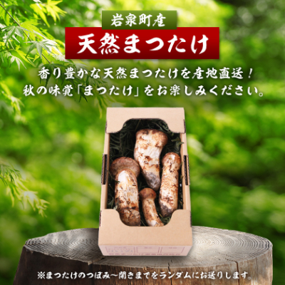 【2026秋発送】【訳あり】ご家庭用 岩泉まつたけ 直送 500g【配送不可地域：離島】【1423397】