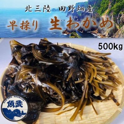 【期間限定】早採り生わかめ 500g【配送不可地域：離島・沖縄県・九州】【1540789】