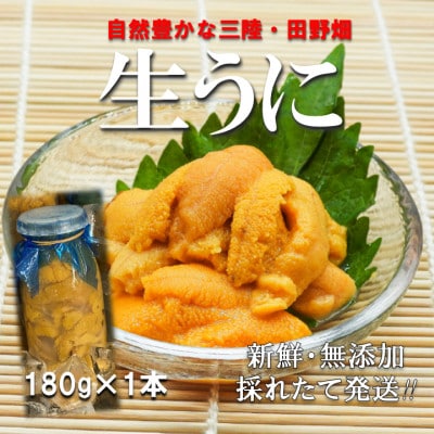 【予約・7月中旬〜発送】三陸生うに　180g×1本　国立公園・田野畑村から(瓶入りミョウバン不使用)【配送不可地域：離島・沖縄県・九州】【1657829】