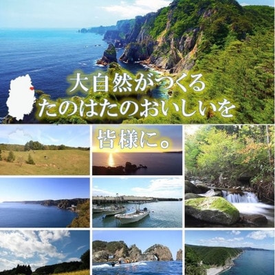 【三陸たのはた・天然冷凍アワビ】約250g(小2〜3個)【配送不可地域：離島】【1567389】