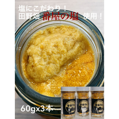 塩にこだわり! 塩うに 3本　【配送不可地域：離島】【1546863】