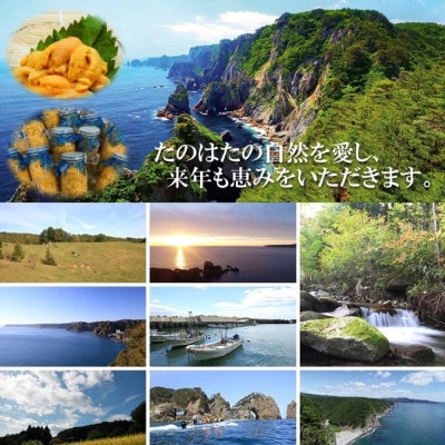 ãäºçŽã»7æäžæ¬çºéã岩æã»äžéžãå°ããªæã®ããããªæµ·ã§è²ã£ããç¶å
¥ããæ¿åçãã«(160g)ãé
éäžå¯å°åïŒé¢å³¶ã»æ²çžçã»ä¹å·ãã1657588ã