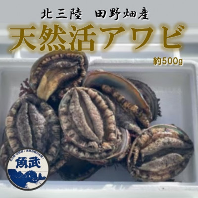 貝の王様!【北三陸田野畑産】天然活アワビ　約500g【配送不可地域：離島・沖縄県・九州】【1512890】