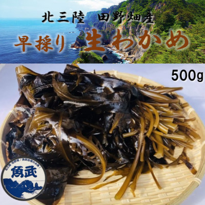 【期間限定】早採り生わかめ 500g【配送不可地域：離島・沖縄県・九州】【1540789】