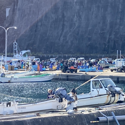 【令和7年6月〜順次発送】断崖と荒波で育つ　岩手・北三陸たのはた　瓶入り生うに(約200g入り1本)【配送不可地域：離島・沖縄県・九州】【1550253】