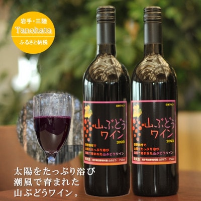 山ぶどうワイン　甘口　750ML　2本【1582759】