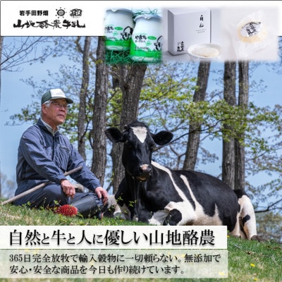 〜大自然で生まれ育った牛さんの恵〜チーズ2種・ヨーグルト詰合せ【配送不可地域：離島】【1721066】