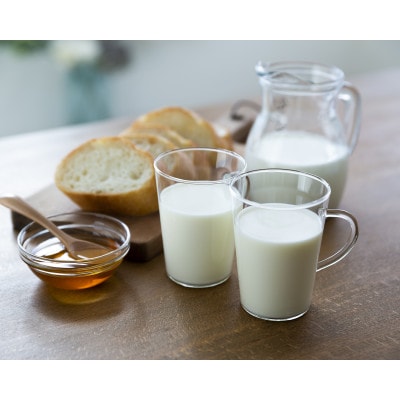 山地酪農牛乳1L・やまちヨーグルト450g　各2個ずつ【配送不可地域：離島】【1721058】