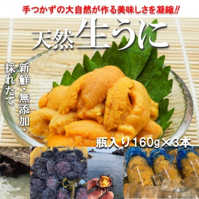 【予約・6月〜発送】岩手・三陸　小さな村のきれいな海で育った新鮮瓶入り　天然生うに(160g×3本)【配送不可地域：離島・沖縄県・九州】【1731706】