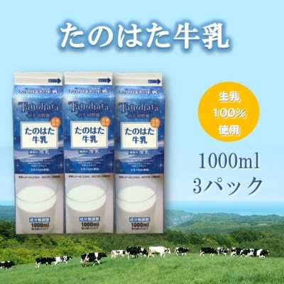 たのはた牛乳　1000ml　3本　【美味しさへこだわり、85℃　25分間殺菌】【配送不可地域：離島】【1589007】