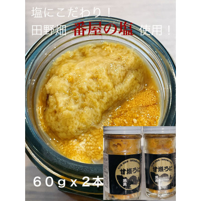 塩にこだわり! 塩うに 2本【配送不可地域：離島】【1546855】