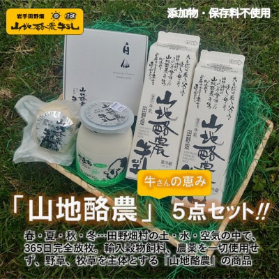 〜大自然で生まれ育った牛さんの恵〜 田野畑山地酪農乳製品詰合せ4品5点セット!【配送不可地域：離島】【1344814】