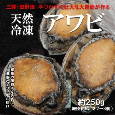 【三陸たのはた・天然冷凍アワビ】約250g(小2〜3個)【配送不可地域：離島】【1567389】