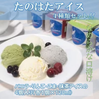たのはたアイスクリームセット! 　バニラ・りんご・ごま・抹茶4種類(NTK-5)【配送不可地域：離島】【1518188】