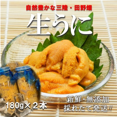 【予約・7月中旬〜発送】三陸生うに　180g×2本　国立公園・田野畑村から(瓶入りミョウバン不使用)【配送不可地域：離島・沖縄県・九州】【1657846】
