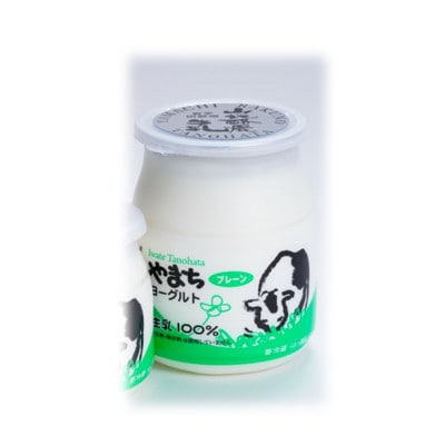 山地酪農牛乳1L・やまちヨーグルト450g　各2個ずつ【配送不可地域：離島】【1721058】