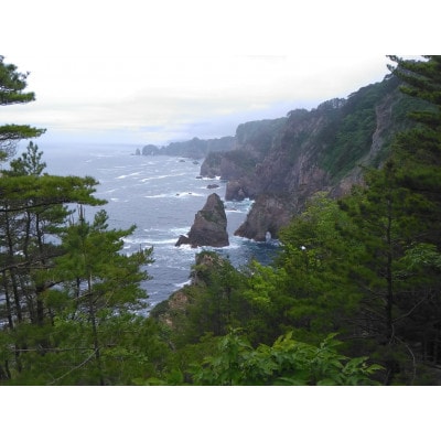 三陸　田野畑村北山崎産　塩ウニ&塩蔵わかめのセット【配送不可地域：離島】【1271283】