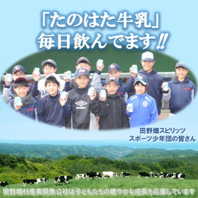 たのはた牛乳　1000ml　1本　【美味しさへこだわり:85℃　25分間殺菌】【配送不可地域：離島】【1599970】