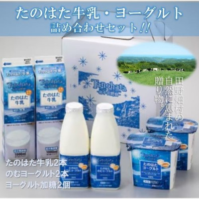 生乳100%使用!　たのはた牛乳・ヨーグルトセット(TK-1)【配送不可地域：離島】【1273684】