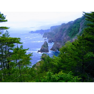 1ççŽãäžéžç°éçæåå±±åŽã®å€©ç¶é»æåžã2è¢ã»ããã1371830ã