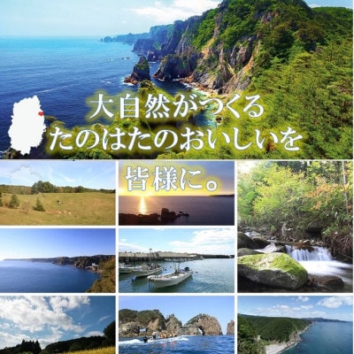 たのはたヨーグルト【加糖+無糖】1000ml×各1パック【配送不可地域：離島】【1588689】