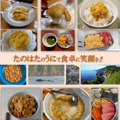 【予約・7月中旬発送】岩手・三陸　小さな村のきれいな海で育った　瓶入り　濃厚生うに(160g×2本)【配送不可地域：離島・沖縄県・九州】【1657611】