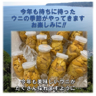 【令和8年6月〜順次発送】生うに200g!!　断崖と荒波で育つ　三陸・たのはた産(1本)【配送不可地域：離島・沖縄県・九州】【1550253】